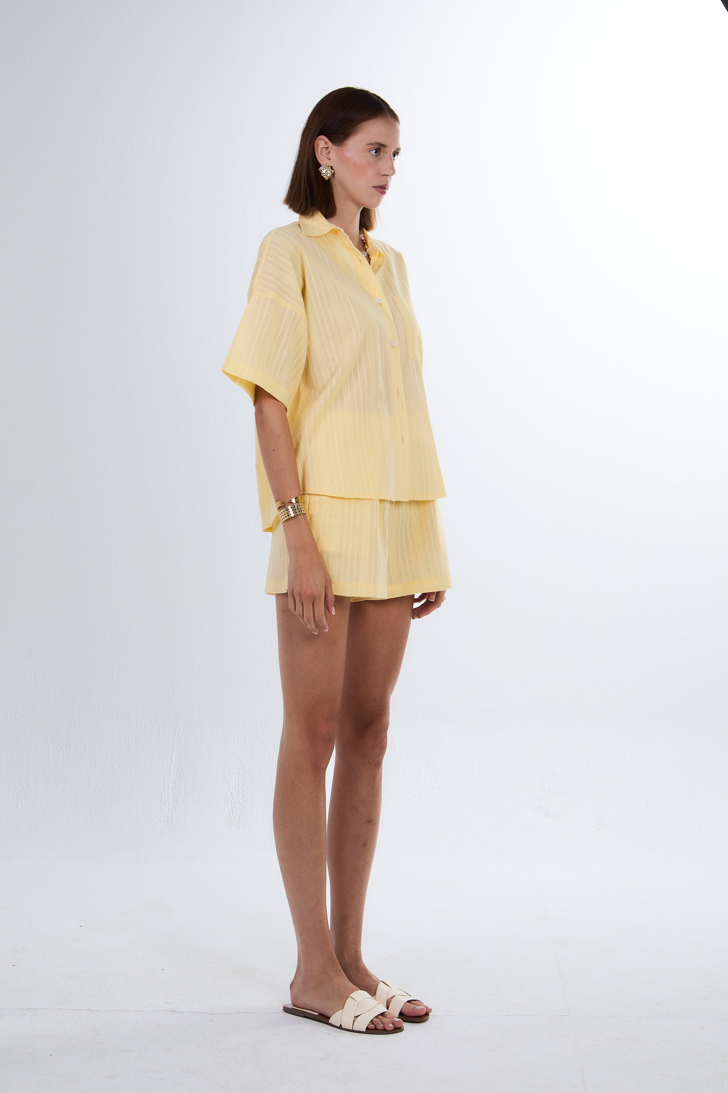 Zesty Set